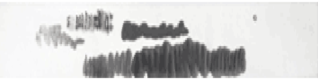 6.png 6.png
